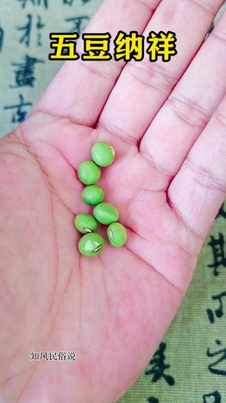 五豆纳祥#民俗文化 #玄学文化 #国学文化#随拍