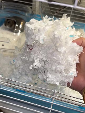 希望这个冬天再也不会有鼠进入伪冬眠状态#保暖纸棉 #科养仓鼠 #养鼠日常分享 #仓鼠