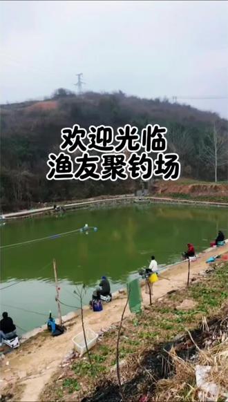 洋县龙亭杨湾村休闲的好地方——渔友聚钓场 #内容启发搜索 #万物皆可种草搜#钓场 #钓鱼的乐趣只有钓鱼人懂