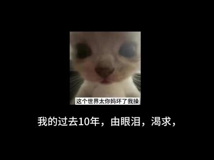 或许我活着就是为了,多年之后挣够钱好在云南找个地方摆烂…#爱你老己明天见 #曼波 #曼波配音 #情感 #活着就好