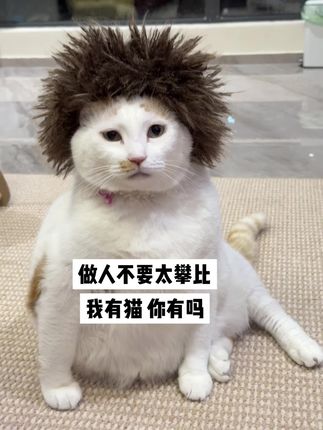 你有吗?你有吗?发出来看看哇#萌宠 #萌宠计划 #养猫 #萌宠出道 #猛男必看