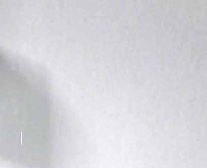 #班主任视角 我与你们的相遇