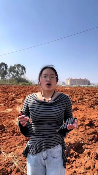 #毒红薯#央视点名 出现毒红薯云南可能不是偶然,全国各地都有可能出现,希望相关部门能严抓严打,还我们一片净土