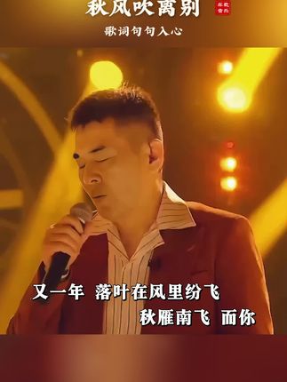 #秋风吹离别 又一年落叶在风里纷飞,秋雁南飞 而你,一去不再回,不知如今你身边,又是谁 在作陪…#一首歌一个故事