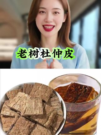 #杜仲皮#老树杜仲皮#拒绝硫熏自然晾晒#自用好物分享#超便宜超划算