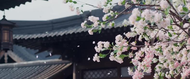 逐玉:29节 卢城战事急,长玉归城抗敌,谢征护其周全。 #葫芦侠 #那些年追过的剧 #古风歌曲 #影视剪辑片段
