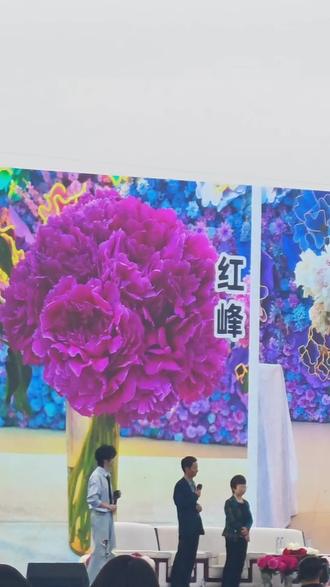 郝熠然这段菏泽推介词写得非常优雅大气!❤️
“曹州古郡,牡丹凝芳;菏泽新程,芍药含香。千年栽育,承国色之雍容;万亩芳华,载人文之悠长。葛巾传韵,藏聊斋之清欢; 花农执艺,铸匠心之担当。牡丹绽放,显华夏之气象;芍药开时,寄情爱的绵长。生于斯,长于斯,吾以家乡为荣;赏其姿,品其韵,愿邀四海同赏。大美菏泽,牡丹之都,芍药之乡,盼君共赴,共赏芳华。”#郝熠然 #菏泽 #牡丹 #芍药 #菏泽牡丹