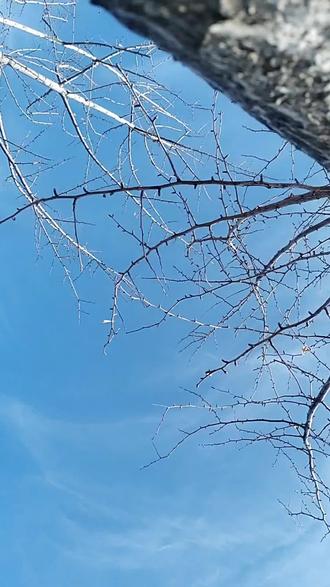 #宇宙#父亲#天选之人#情感#真实生活分享计划