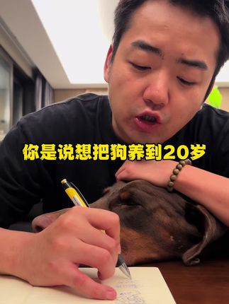 狗狗短寿都是主人喂出来的 #萌宠好物
