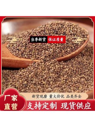 正品精选水洗菟小丝子产地精选泡茶代加工食用农产品内蒙古丝子2#养生#菟丝子#养生茶