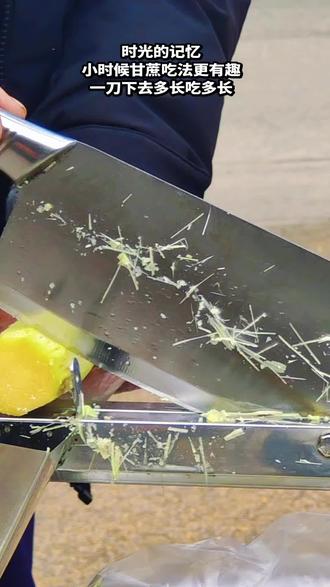 小时候,每到冬季吃甘蔗的季节或过年时,三五成群的人就会聚在一起,大人们扛着甘蔗来,孩子们欢呼雀跃地围上去观看“划甘蔗”,无需复杂的处理,找来一把锋利的刀,“咔嚓”一刀砍下去,甘蔗应声而断,划多长就吃多长,这简单直接的吃法,满是纯粹的乐趣。
小孩子们人手一节甘蔗,或蹲或站,用力连皮带节咬下,清甜的汁水瞬间在口中四溢,那股甜蜜顺着喉咙流下,直抵心头。大家一边嚼着甘蔗,一边嬉笑打闹,清脆的咀嚼声、欢快的打闹声、笑声交织在一起,回荡在每一个角落。
如今,甘蔗的吃法越来越省心省力又精细,却再难寻回儿时那种简单而纯粹的快乐。那段旧时光,如同一幅永不褪色的画卷,深深烙印在记忆深处,成为心中最美的温暖。