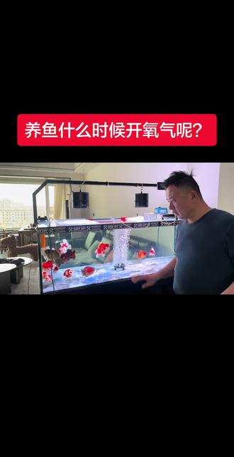 #氧气 #鱼缸 #鱼缸打氧 鱼缸什么时候需要氧气呢?我视频告诉你!#我要上热门🔥 #养鱼 @DOU+小助手