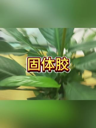 #固体胶 #点点胶 #双面胶