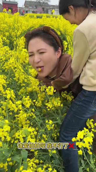 就想采个蜜而已都都笑什么🐝#你的家乡有这种植物吗 #油菜花 #小蜜蜂 #一秒都不用剪