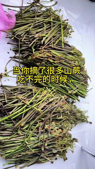 最近的生活不是在摘野菜就是去摘野菜的路上,亲测一款山蕨超实用的储存方法,绝对不骗人😊#山蕨菜 #储存野菜
