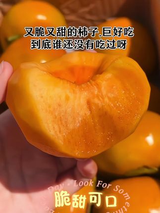 脆甜的巧克力脆柿巨巨好吃.梦中情果#脆甜可口 #柿子 #巧克力脆柿子 #优质农产品 #新鲜应季水果