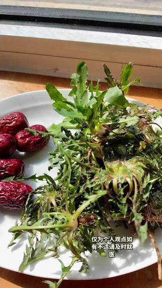 #养生饮食科普 蒲公英配红枣,老一辈的智慧结晶 #创作者中心 #创作灵感 #食疗小妙招