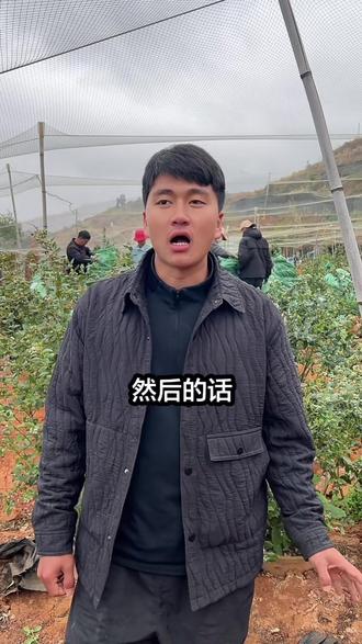 4千颗蓝莓树,全部卖完了,不知道到家怎么操作的,看我这条视频#热门 #蓝莓树 #蓝莓种植 #蓝莓树苗