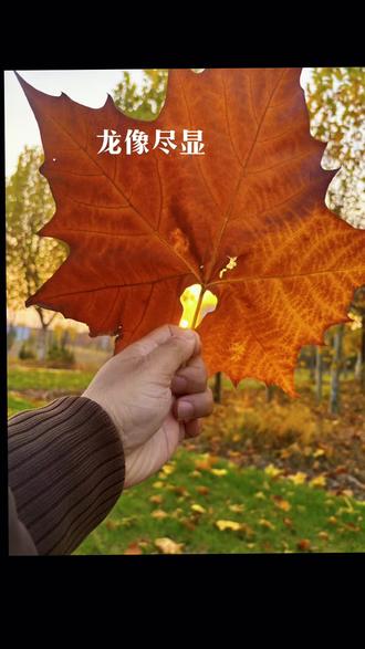 真龙已像🐲,大自然鬼斧神工。