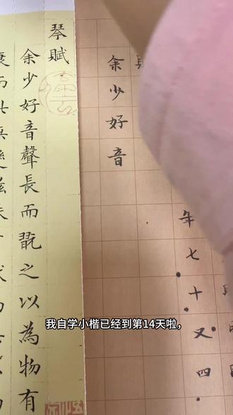 零基础自学小楷第14天,周末两天练得少,今天又被打回原形#每日分享 #练字 #传统文化 #书法 #小楷