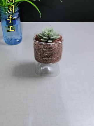 饮料瓶制作简易花盆#变废为宝手工 #手工制作#创意花盆#分享