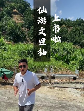 度尾文旦柚上市 #仙游文旦柚 #品质水果 #新鲜水果