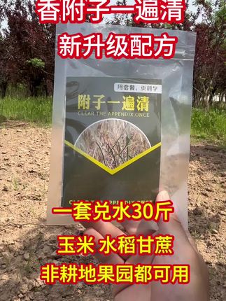 #内容启发搜索 香附子难题轻松解,“一遍清”让农田无忧!·香附子的危害:香附子是一种世界性的恶性 杂草,其地下块茎发达,繁殖能力强,难以根除。它会与农作物争水争肥,影响农作物的生长。#香附子一遍清 #农业种植 #三农 #农业
