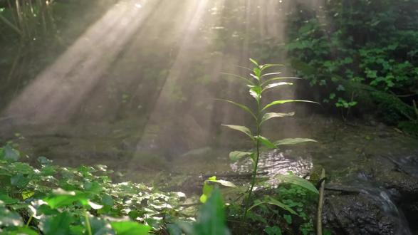 3月7日 农历正月十九 星期六
今天是2026年3月7日,农历正月十九,星期六,早安。周六的清晨,阳光正好。给自己一个深呼吸,放下忙碌,享受片刻宁静。休息是为了更好地出发,今天只管做喜欢的事,让心情放个假。早安,加油!#早安电台 #早安电台文案 #治愈