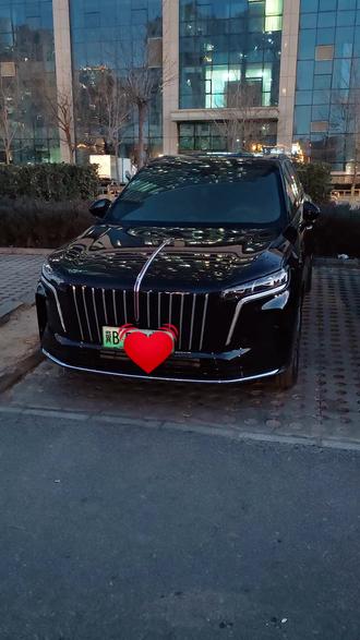 旗标灯装好了,真漂亮#红旗hs6phev #红旗