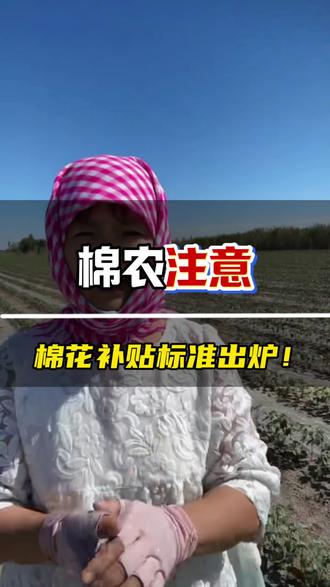 25年棉花价格补贴又有新消息了!
5月21日多地通知已出,陆地棉补贴0.85元每公斤,特种棉1.28元每公斤,质量补贴0.35元每公斤不变。提醒大家:交售时一定要选有质量追溯资质的企业,悬挂"棉花目标价格补贴与质量挂钩政策加工企业"牌匾的才正规 。别贪小便宜找小作坊,不然领不到质量补贴就亏大了。觉得有用的点个赞,转发给需要的棉农,咱们一起把政策吃透,多拿补贴!#棉花#补贴 #新疆棉花政策 #棉农 #关注棉花