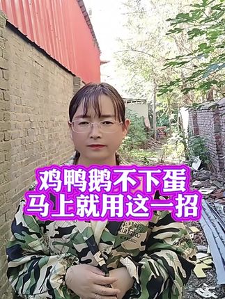鸡鸭鹅不下蛋,马上就用这一招#农村养鸡人 #养鸡小妙招 #抖音养鸡人感谢官方 #散养土鸡