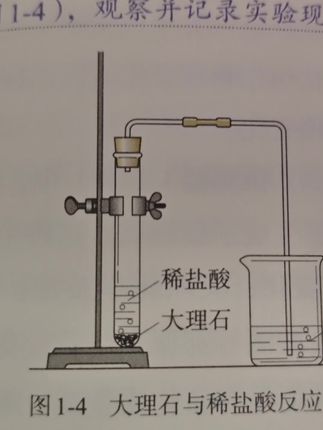碳酸钠与稀盐酸反应生成二氧化碳#化学实验 #化学 #碳酸钠与稀盐酸反应生成二氧化碳#制取二氧化碳