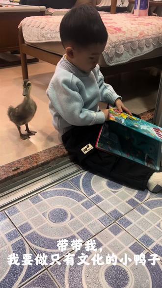 #萌娃与萌宠
爱学习的小鸭子