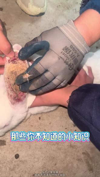 UU姐妹们~标素葡萄籽真的在🍑掏到了