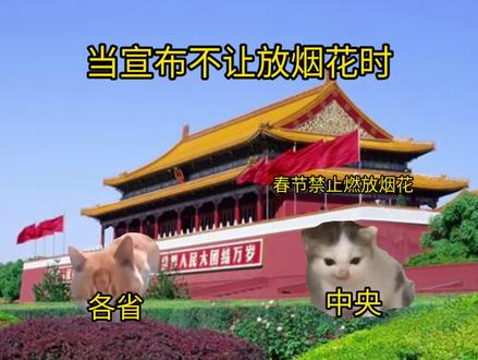 当宣布不让放烟花时#猫meme日常 #烟花#祖国万岁 #猫meme剧场#原创