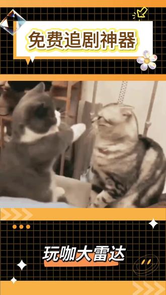 免费追剧神器#红果短剧 #各位网友 #你礼貌吗 #网友评论