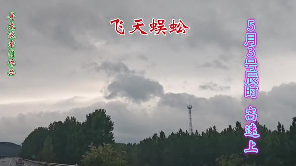 泰山祖龙显象白龙翱翔