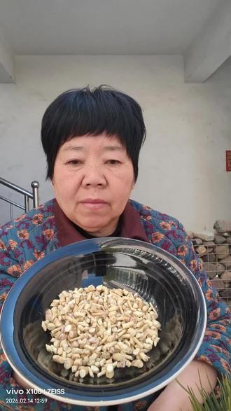 荠菜根是个宝,煮粥时放里边。煮好的粥清香甘甜营养健康。