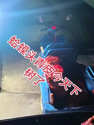 蛤蟆头 蛤蟆头青皮满满一大车拉回来了,想要好的蛤蟆头关注我敬请期待吧#文玩核桃