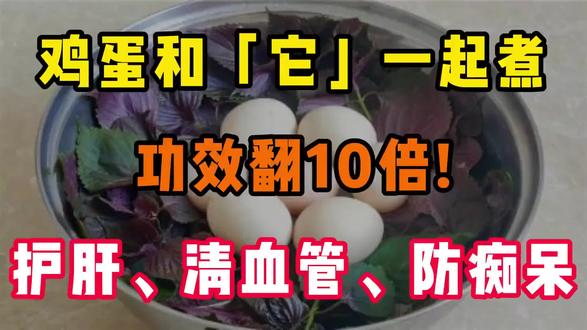 鸡蛋和它一起煮,竟是“肝脏解毒王”!每天1颗,排出10年肝毒