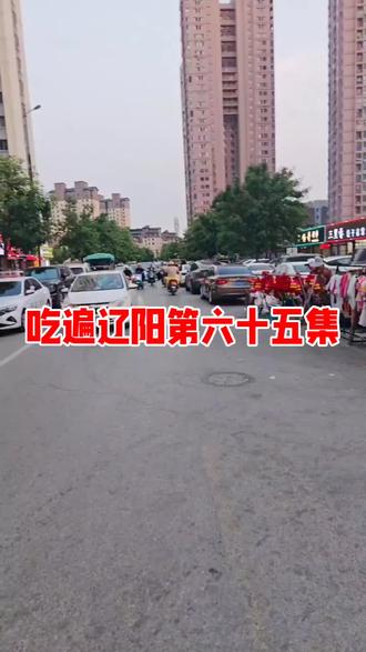 你推荐我去尝,吃遍大辽阳。