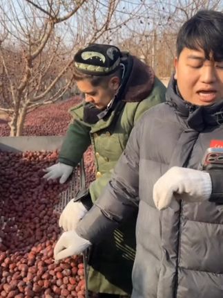 #全进华 #我要上热门🔥 软软糯糯香香甜甜的新疆原生态灰枣,树上自然成熟自然吊干,带土带灰发货,没有任何添加剂防腐剂,可以直接吃也可以泡茶煲汤煮粥做糕点煮甜品糖水