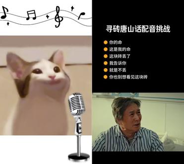 和 @电影《寻砖》 一起 #合拍 #唐山话配音 #唐山话
应@斯文孙 要求