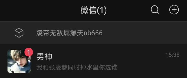 你总问我你和张凌赫谁重要 可张凌赫不会这么问我#张凌赫#聊天截图#史上最难选择题#小核桃