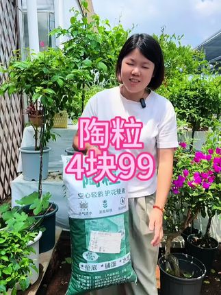 养花高手都在偷偷用这个陶粒,拿它铺面既防虫还美观,拿它垫底可以既能让根部不烂根还能节省营养土