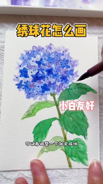 新手水彩,简易版绣球水彩教程来啦#简易花草画法 #水彩花卉教程 #新手水彩 #水彩