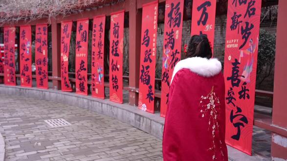 过年出游不想做攻略?寒假春节来亳州直接冲139元三国畅玩联票不管是亲子遛娃、家庭出游还是朋友小聚,都能玩得尽兴又划算!#曹操运兵道#亳州文旅#抖音吃喝玩乐节 #花戏楼#亳味文旅马年上大戏