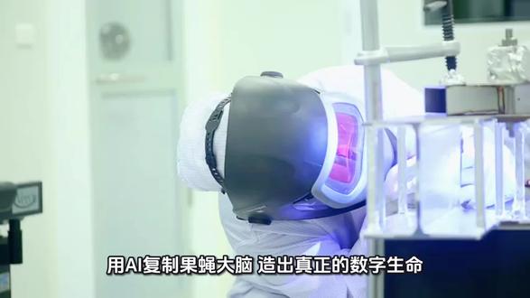 ai复制果蝇大脑,造数字生命
#数字生命 #脑机接口 #马斯克 #神经网络 #ai