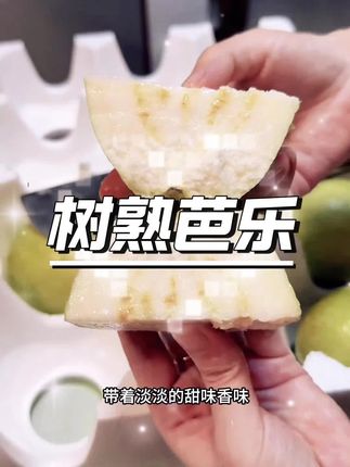 树熟奶油芭乐,新鲜采摘 。#芭乐 #树熟奶油芭乐 #水果 #水果自由