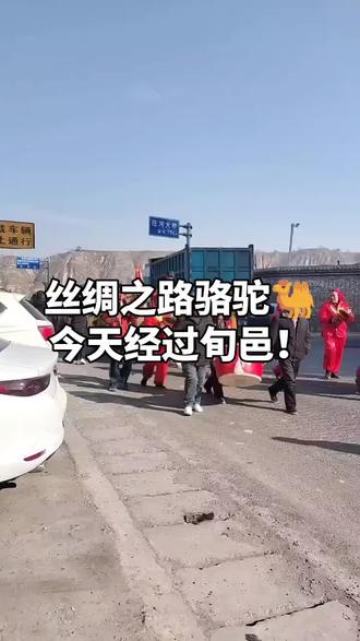 丝绸之路骆驼在旬邑赤道修正